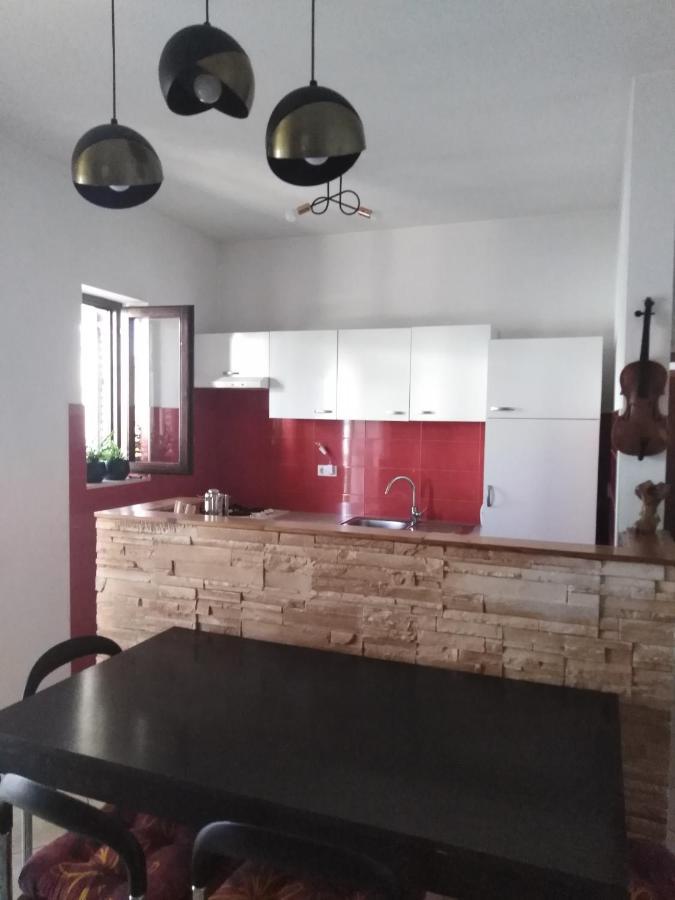 Apartman Irena With Terase End Private Parking Donji Okrug  Extérieur photo